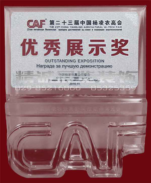 第23屆楊凌農高會“優(yōu)秀展示獎”（獎牌）16年